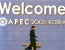 APEC muốn hợp tác chống cúm gà
